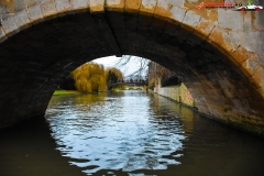 Cambridge 109