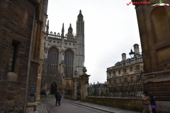Cambridge 44