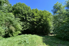 Pădurea Valea Fagilor  30