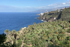 Paisaje Protegido de la Rambla de Castro, Tenerife 103