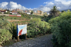 Paisaje Protegido de la Rambla de Castro, Tenerife 105
