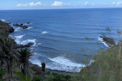 Paisaje Protegido de la Rambla de Castro, Tenerife 29