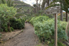 Paisaje Protegido de la Rambla de Castro, Tenerife 30