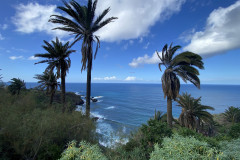 Paisaje Protegido de la Rambla de Castro, Tenerife 32