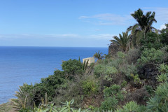 Paisaje Protegido de la Rambla de Castro, Tenerife 33