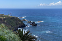 Paisaje Protegido de la Rambla de Castro, Tenerife 34