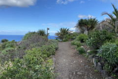 Paisaje Protegido de la Rambla de Castro, Tenerife 35