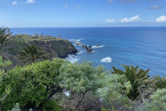 Paisaje Protegido de la Rambla de Castro, Tenerife 36