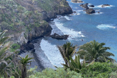 Paisaje Protegido de la Rambla de Castro, Tenerife 38