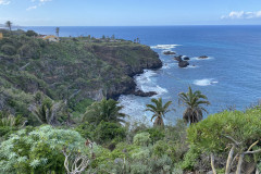 Paisaje Protegido de la Rambla de Castro, Tenerife 39