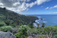 Paisaje Protegido de la Rambla de Castro, Tenerife 40