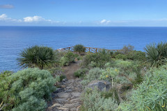 Paisaje Protegido de la Rambla de Castro, Tenerife 41