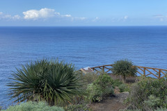 Paisaje Protegido de la Rambla de Castro, Tenerife 42