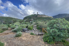 Paisaje Protegido de la Rambla de Castro, Tenerife 45