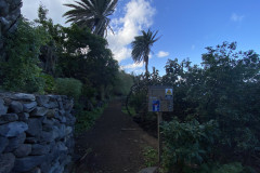 Paisaje Protegido de la Rambla de Castro, Tenerife 59