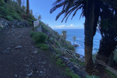 Paisaje Protegido de la Rambla de Castro, Tenerife 87