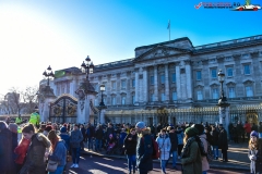 Palatul Buckingham 09