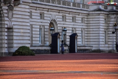 Palatul Buckingham 49