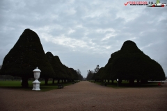 Palatul Hampton Court 271