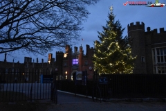Palatul Hampton Court 276