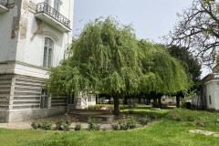 Palatul Marincu 33