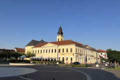 Palatul Vulturul Negru Oradea 07