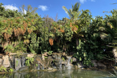 Palmetum, Tenerife 104
