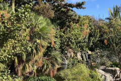 Palmetum, Tenerife 109