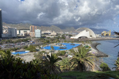 Palmetum, Tenerife 114