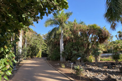 Palmetum, Tenerife 120