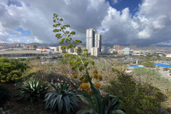 Palmetum, Tenerife 124