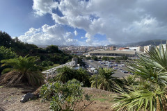 Palmetum, Tenerife 128