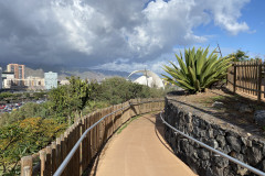 Palmetum, Tenerife 129
