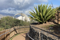 Palmetum, Tenerife 130
