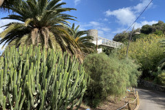 Palmetum, Tenerife 14