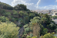 Palmetum, Tenerife 140