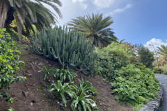 Palmetum, Tenerife 16