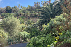 Palmetum, Tenerife 18