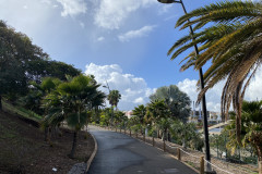 Palmetum, Tenerife 19