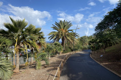 Palmetum, Tenerife 21