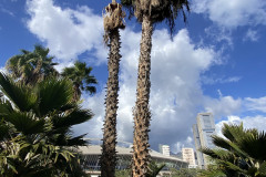 Palmetum, Tenerife 22