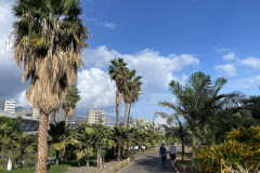 Palmetum, Tenerife 25