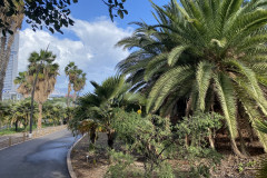 Palmetum, Tenerife 27