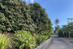 Palmetum, Tenerife 28