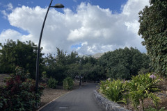 Palmetum, Tenerife 33