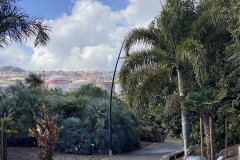 Palmetum, Tenerife 34