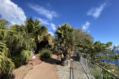 Palmetum, Tenerife 83
