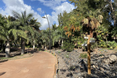 Palmetum, Tenerife 94