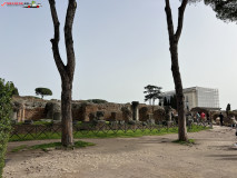 Parcul Arheologic Colosseum din Roma 100