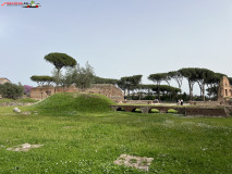 Parcul Arheologic Colosseum din Roma 120